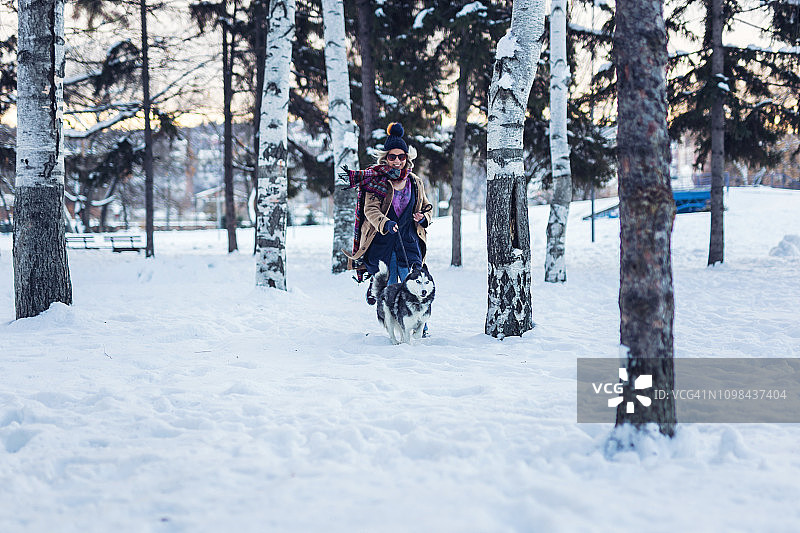 冬天拥有哈士奇犬的乐趣图片素材