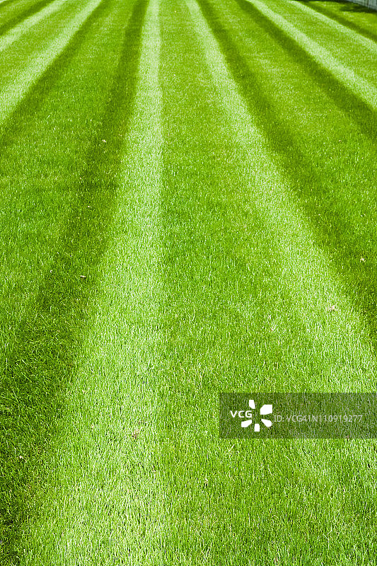 足球场图片素材