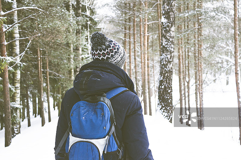 漫步冬季森林图片素材