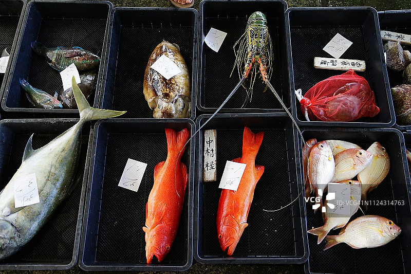 国头渔业协同组合拍卖会（边土名渔港）图片素材