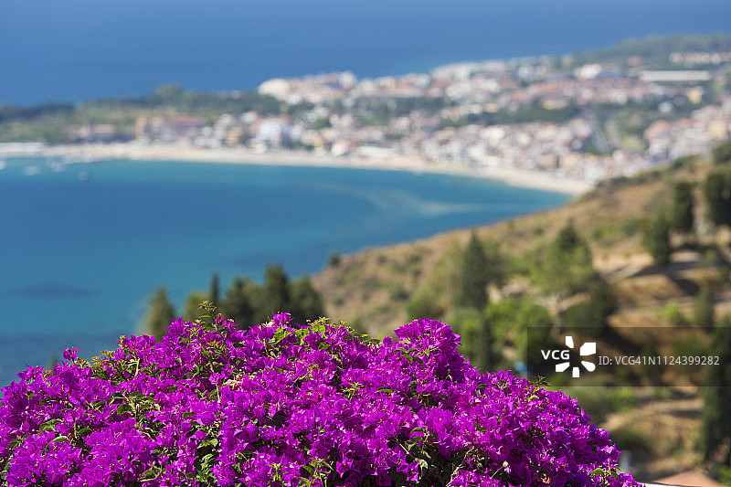 从纳克索斯湾望向远处的贾尔迪尼-纳克索斯，前景中突出的九重葛，意大利西西里墨西拿陶尔米纳景色图片素材