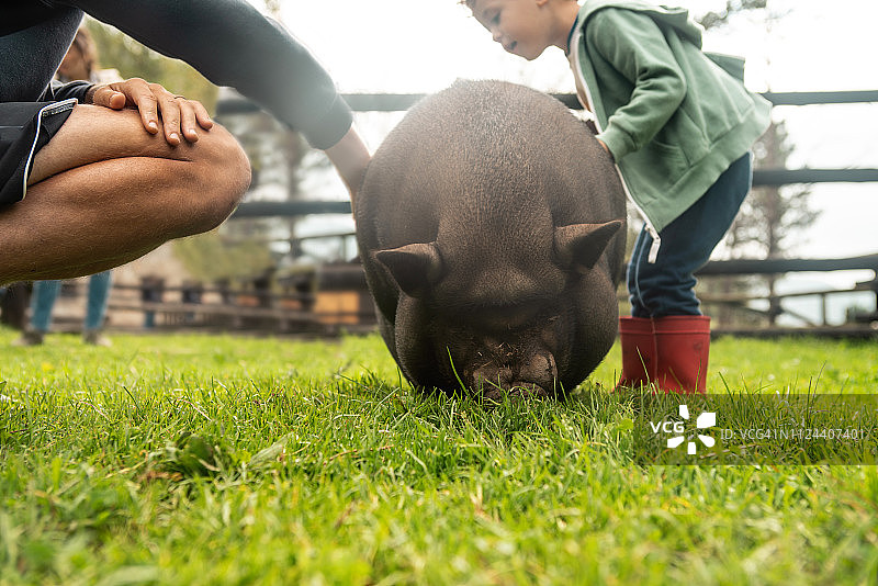 男孩们在农场里玩耍图片素材