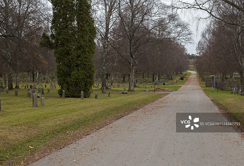 空旷的小路图片素材