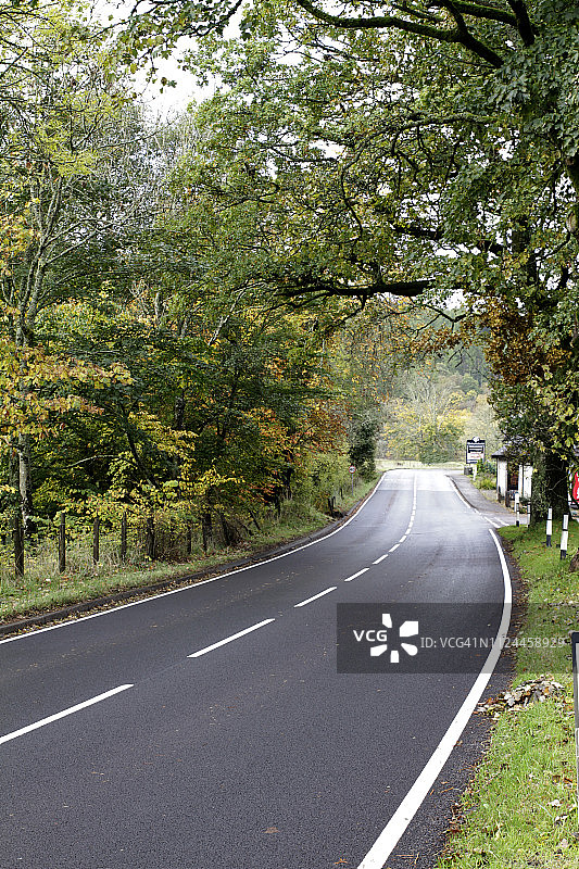 苏格兰森林沿线的沥青路图片素材