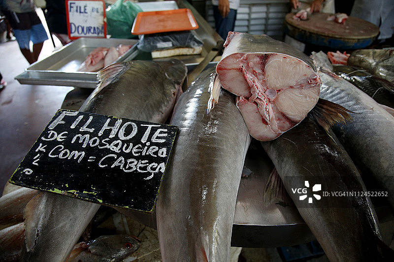 巴西贝伦Ver-O-Peso市场上的淡水鱼图片素材