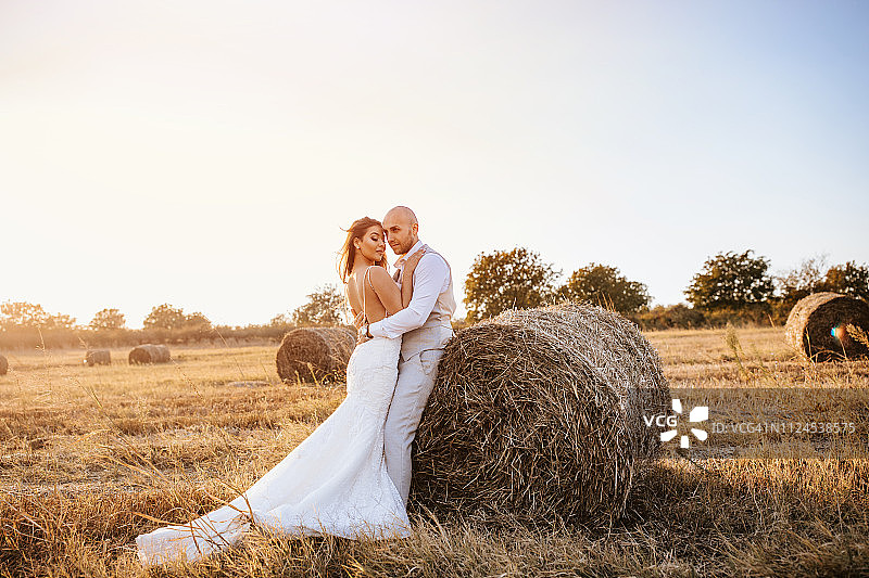 在干草地里的婚礼夫妇图片素材