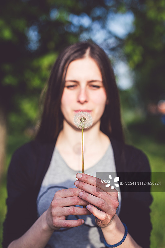 吹蒲公英种子图片素材