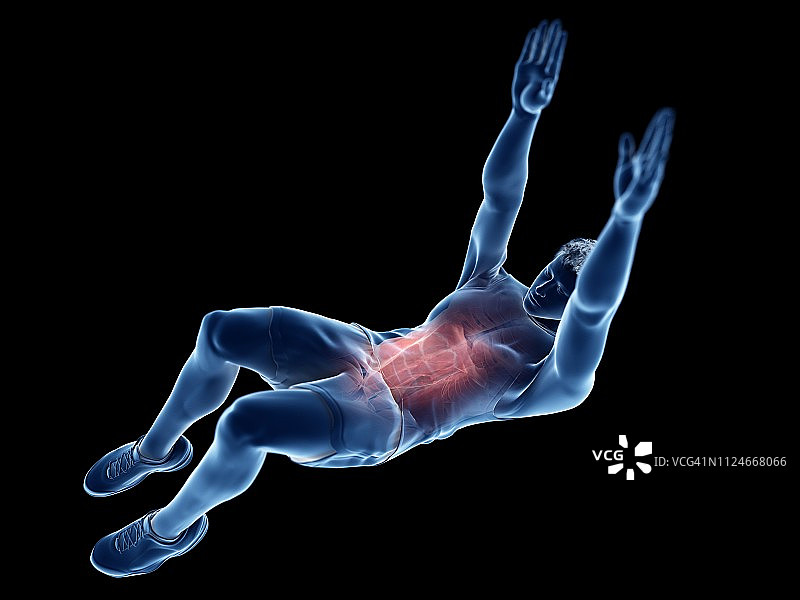 男子腹肌锻炼插画图片素材