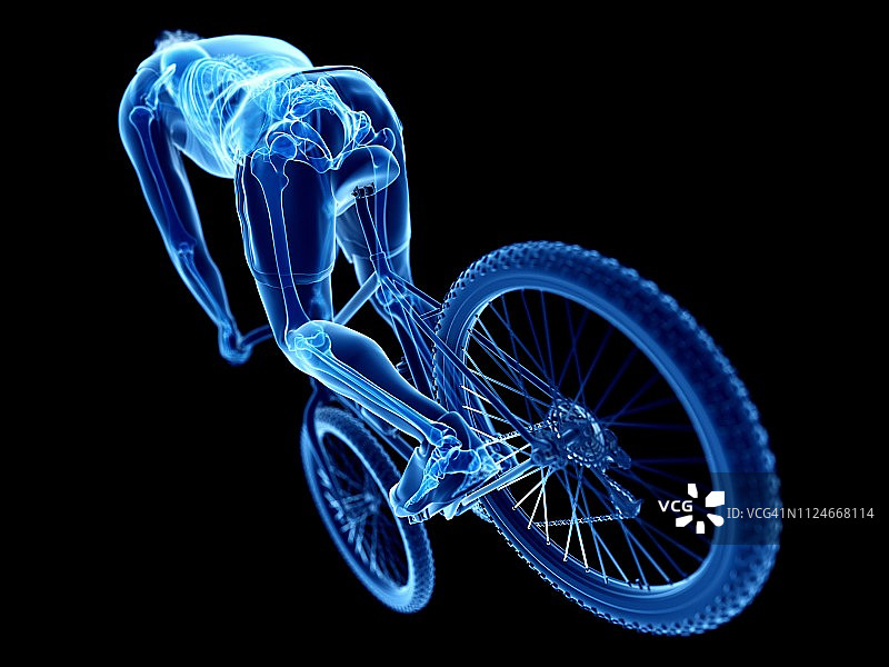 骑自行车者的骨骼插画图片素材