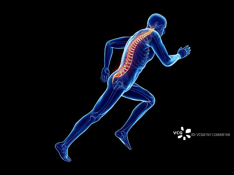 慢跑者脊柱插图图片素材