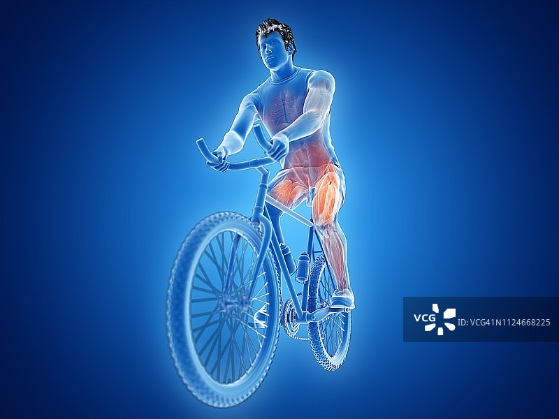 自行车运动员的肌肉插画图片素材
