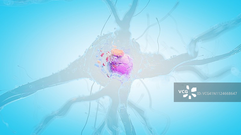 人类神经细胞插画图片素材