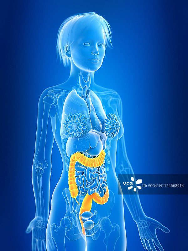 女性冒号插画图片素材