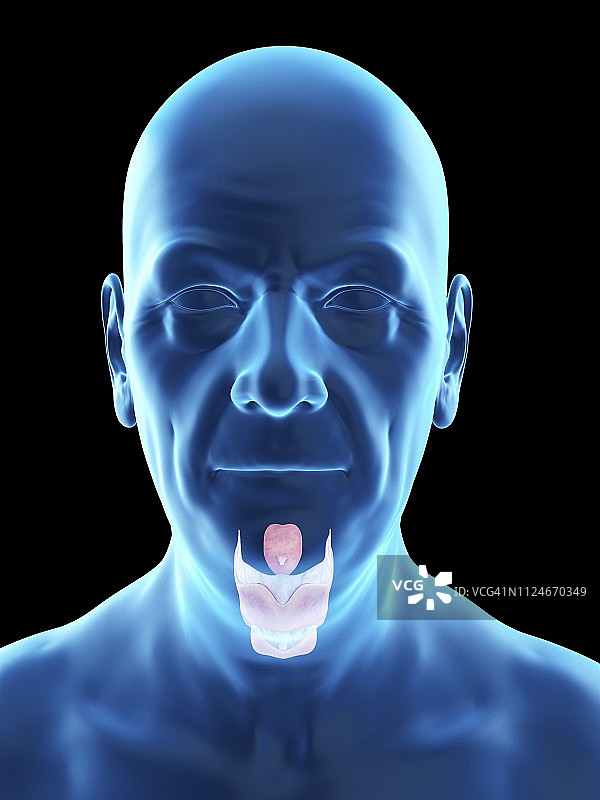 老年男性的喉部插画图片素材