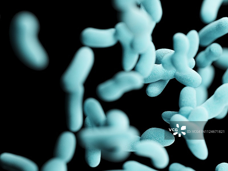 细菌插画图片素材