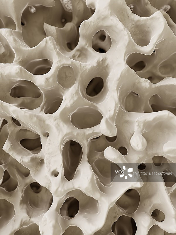 人体骨骼结构插画图片素材