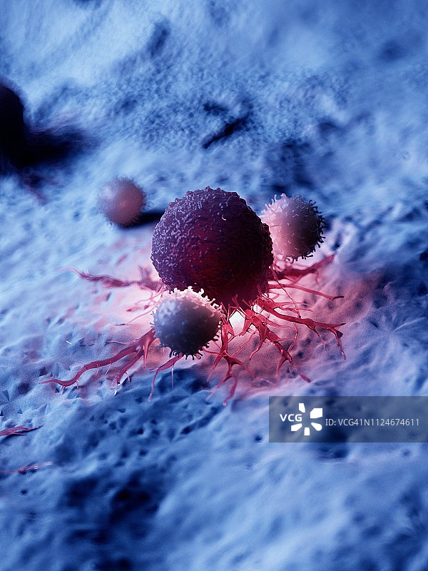 白细胞攻击癌细胞的插画图片素材