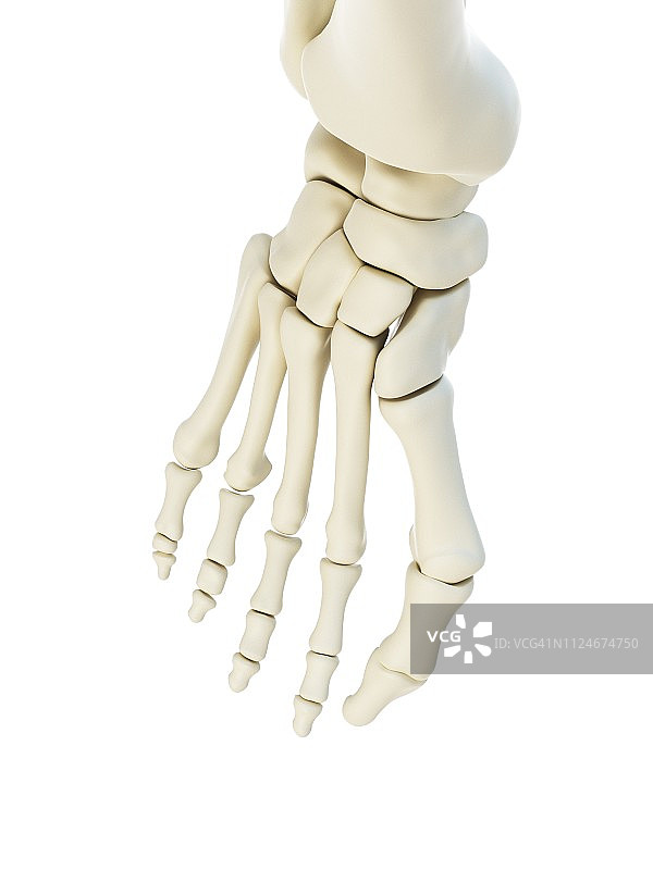 拇囊炎插画图片素材