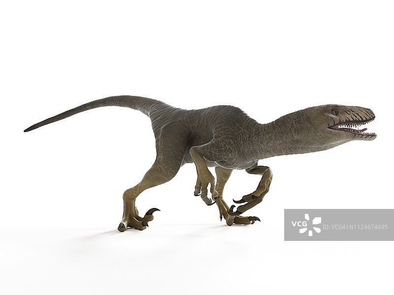 达科他盗龙插画图片素材