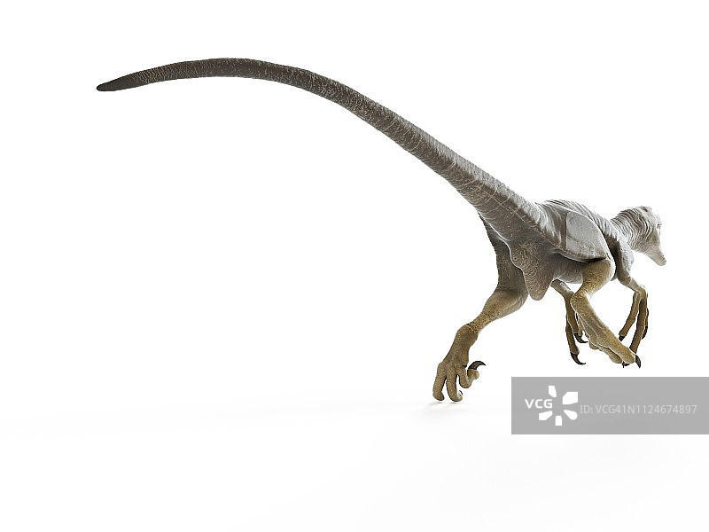 达科他盗龙插画图片素材