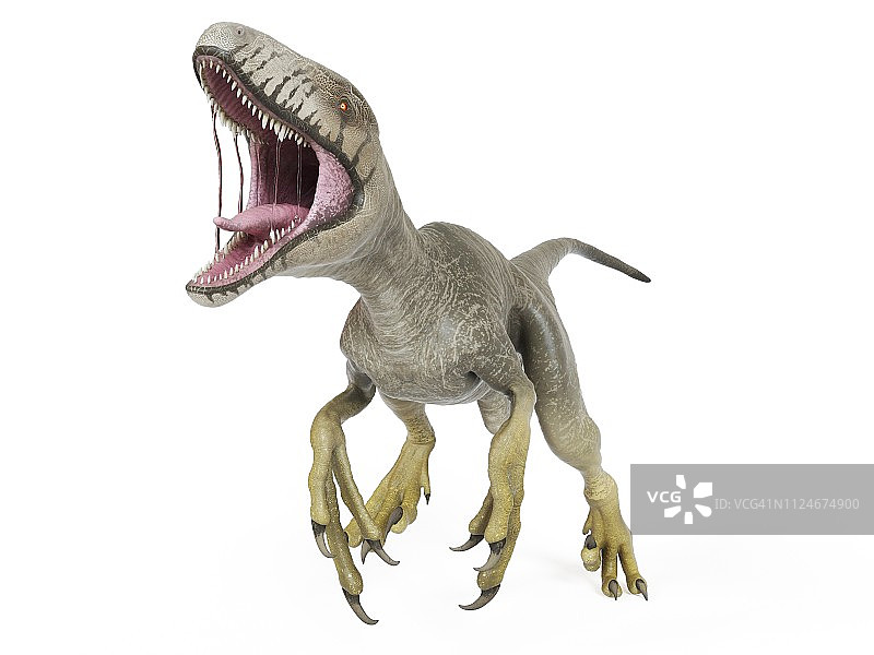 达科他盗龙插画图片素材