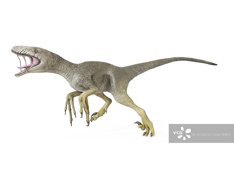 达科他盗龙插画图片素材