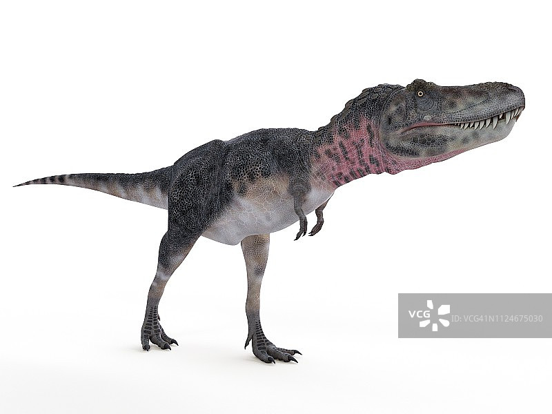 特暴龙插画图片素材