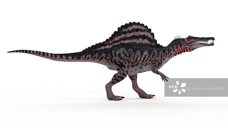 棘龙插画图片素材