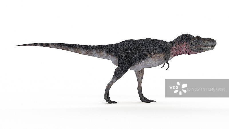 特暴龙插画图片素材