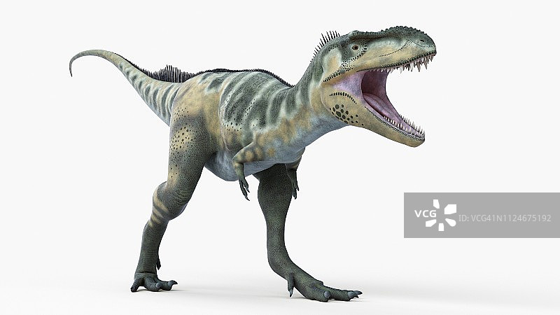 垂直线条插画图片素材