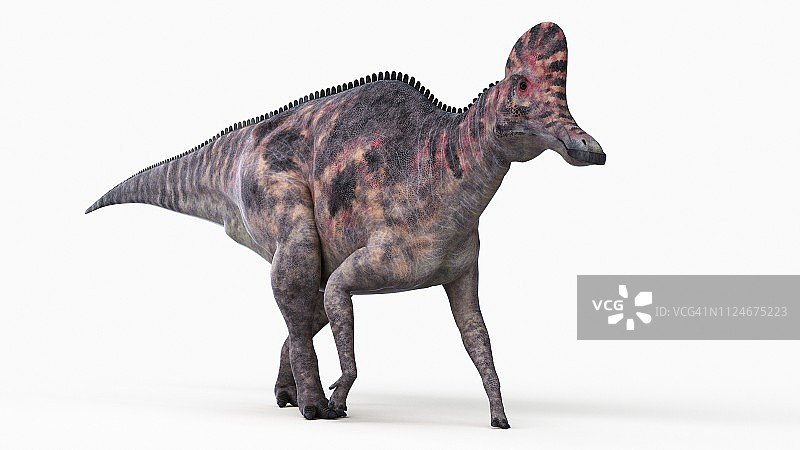 甲龙插图图片素材