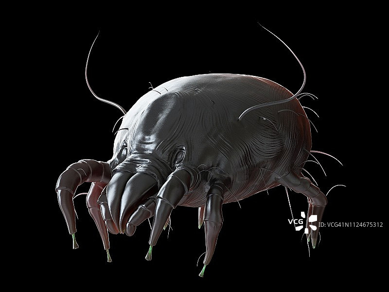 尘螨插画图片素材