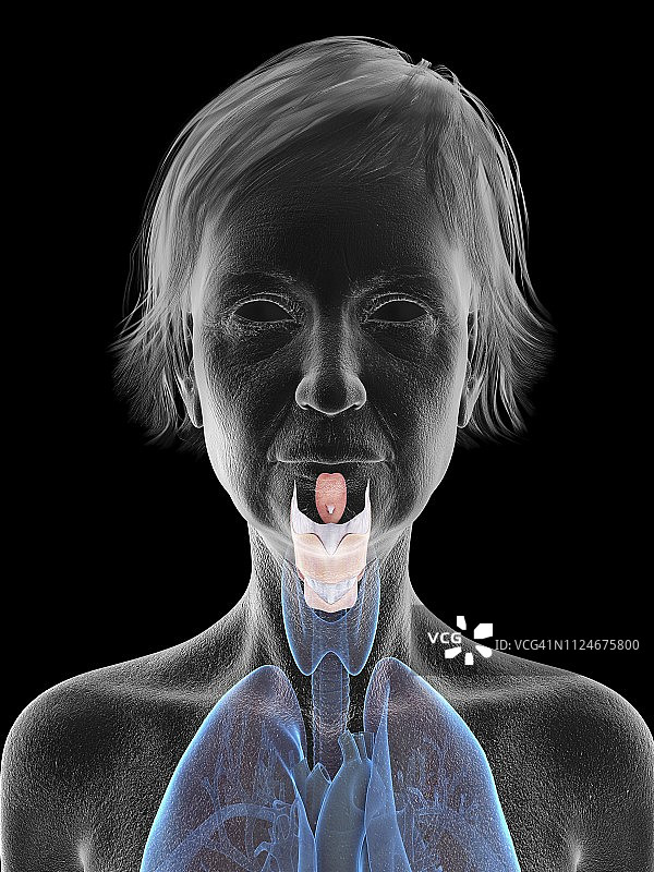 老年妇女的喉部插画图片素材