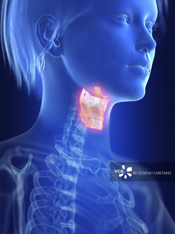 发炎的喉咙插图图片素材