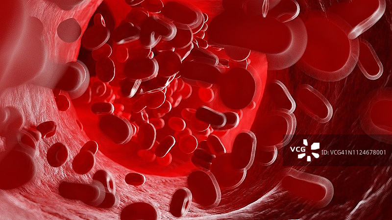 人体血细胞插画图片素材
