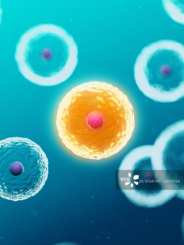 人体细胞插画图片素材