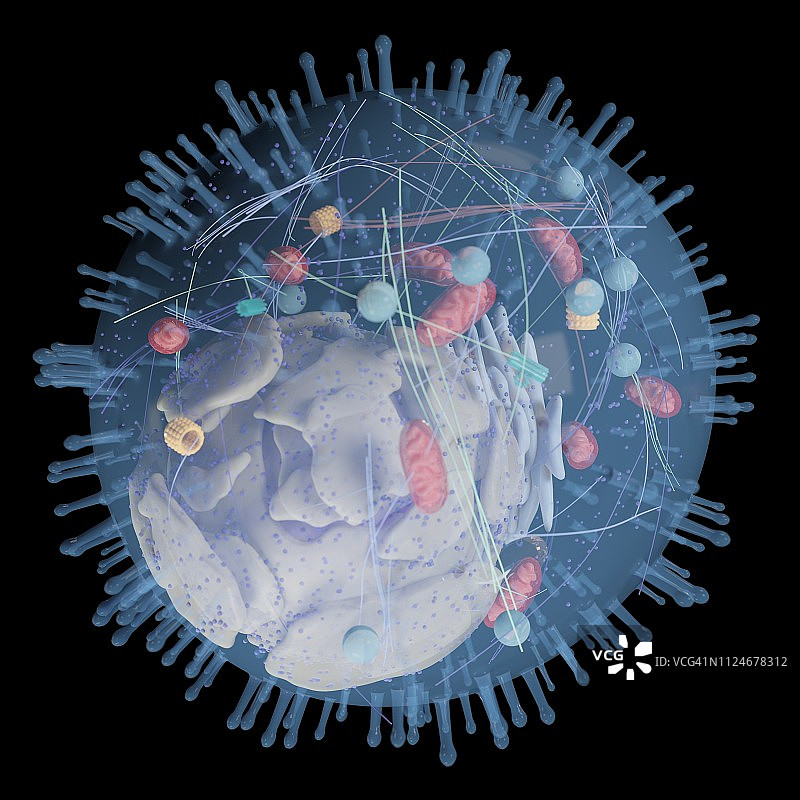 人体细胞插画图片素材