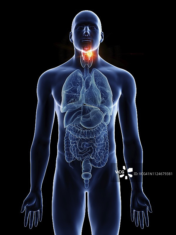 男人喉癌的插图图片素材