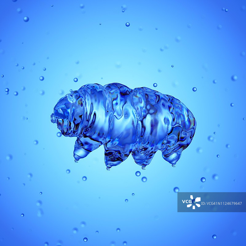 水熊虫插画图片素材