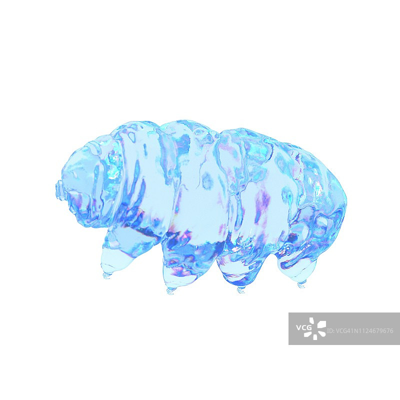 水熊虫插画图片素材