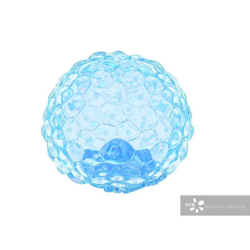 胚泡图示图片素材