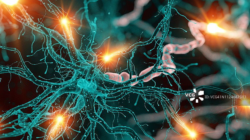 神经细胞插画图片素材