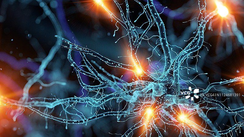 神经细胞插画图片素材