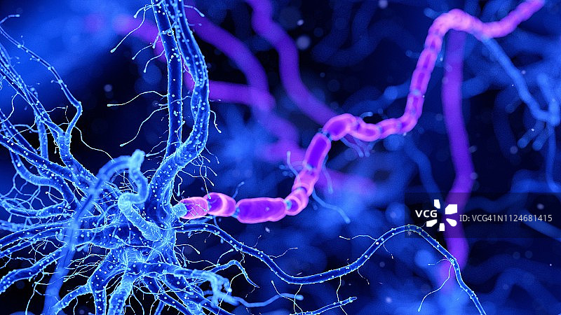 神经细胞插画图片素材