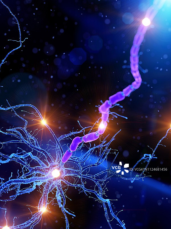 活跃的垂直人类神经细胞插画图片素材