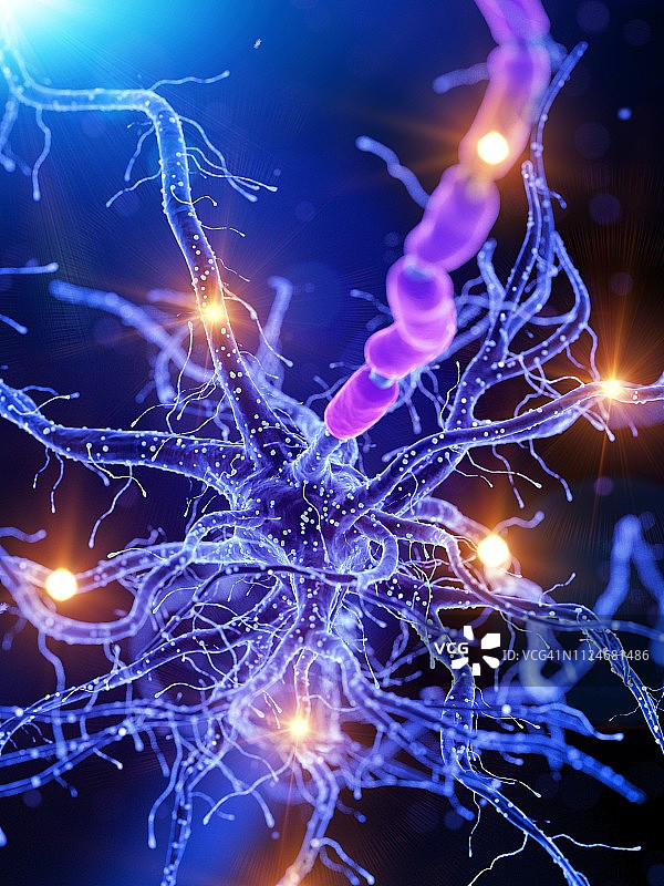 活跃的垂直人类神经细胞插画图片素材