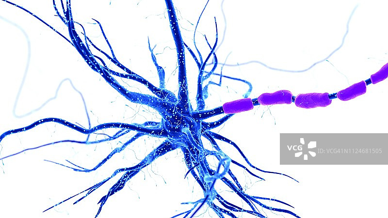 人类神经细胞插画图片素材