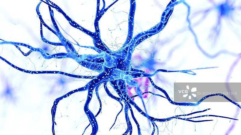人类神经细胞插画图片素材
