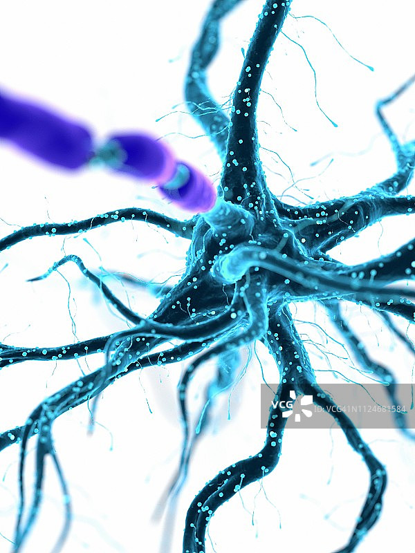 人类神经细胞插画图片素材