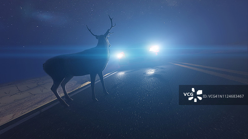 汽车前的鹿插画图片素材